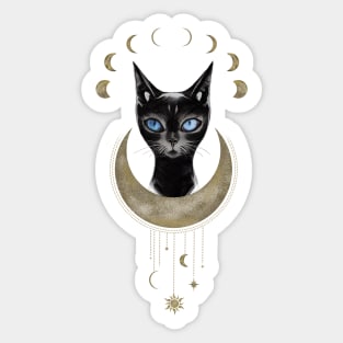 Cat Moon Phases Sticker